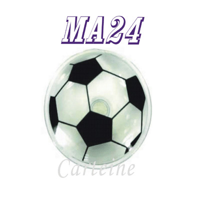 Soccer magnet