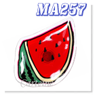 Watermelon magnet